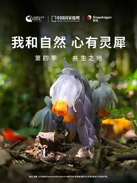 《我和自然 心有灵犀》第四季：共生之地，探寻生命的无限可能与 超能力